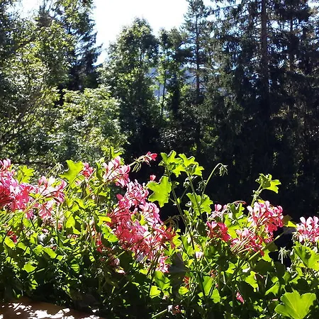 Апартаменты Haus Ahrnspitze Лойташ