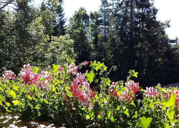 Apartment Haus Ahrnspitze Leutasch